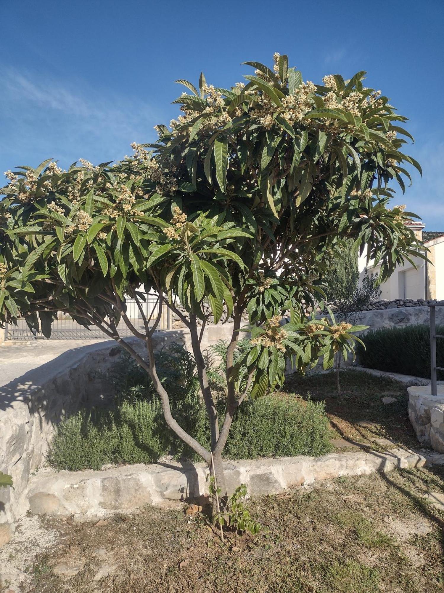 Apartment Olea 玛里纳 外观 照片